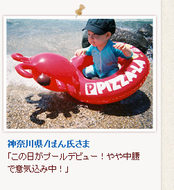 �_�ސ쌧/�ۂ񎁂���