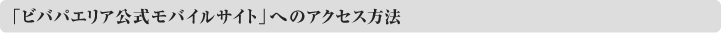 �u�r�o�p�G���A�������o�C���T�C�g�v�ւ̃A�N�Z�X���@