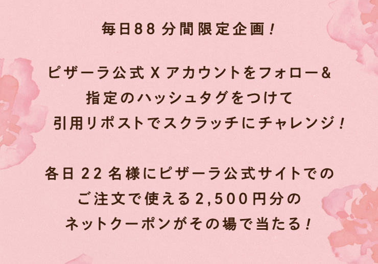 88ԌI
		sU[XAJEgtH[w̃nbV^OĈp|XgŃXNb`Ƀ`W!
		e22lɃsU[TCgł̂Ŏg2,500~̃lbgN[|̏œ!