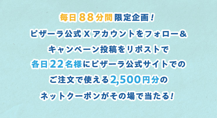 88ԌIsU[XAJEgtH[Ly[e|XgŊe22lɃsU[TCgł̂Ŏg2,500~̃lbgN[|̏œI