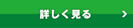 詳しく見る
