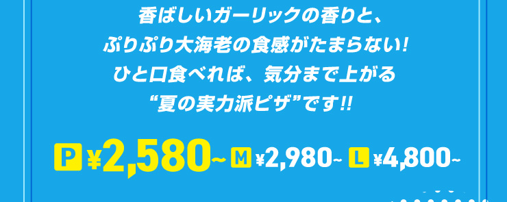 ΂K[bN̍ƁAՂՂCV̐H~܂Ȃ!ЂƌHׂ΁AC܂ŏオhĂ͔̎hsUhł!!
																				PTCY 2,580~`@MTCY 2,980~`@LTCY 4,800~`