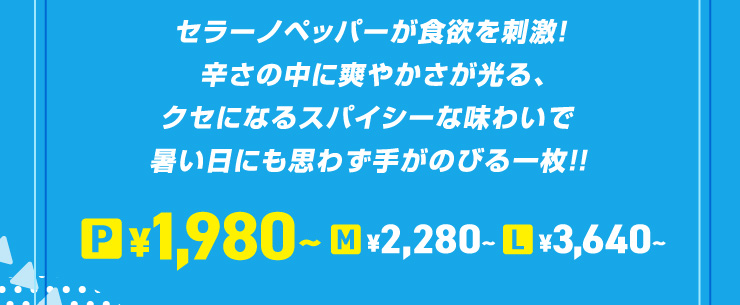 Z[mybp[H~h!h̒ɑu₩ANZɂȂXpCV[Ȗ킢ŏɂv킸肪̂тꖇ!!
																				PTCY 1,980~`@MTCY 2,280~`@LTCY 3,640~`