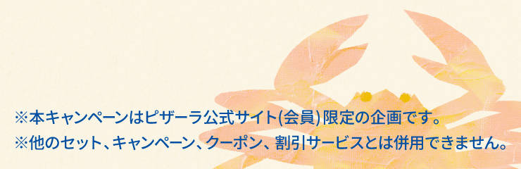 {Ly[̓sU[TCg()̊łB
			̃ZbgALy[AN[|AT[rXƂ͕pł܂B