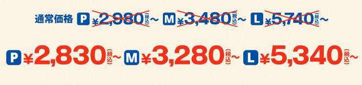 P�T�C�Y �ʏ퉿�i2,980�~���灨2,830�~����(�ō�) M�T�C�Y �ʏ퉿�i3,480�~���灨3,280�~����(�ō�) L�T�C�Y �ʏ퉿�i5,740�~���灨5,340�~����(�ō�)