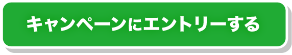 �L�����y�[���ɃG���g���[����