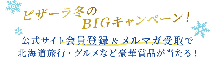 ��������F2025�N11��19��(���j��)����2026�N1��31��(�y�j��)�܂�
		�s�U�[���~�̂a�h�f�L�����y�[���I�����T�C�g����o�^&�����}�K���Ŗk�C�����s�E�O�����ȂǍ��؏ܕi��������!