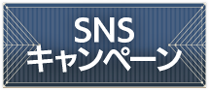 SNS�L�����y�[��[�ڍׂ͂�����]
