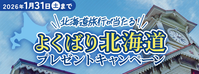 kCs!悭΂kCv[gLy[ 2026N131܂