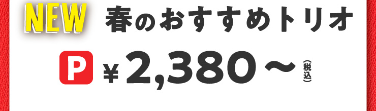 [NEW]t̂߃gI@PTCY 2,380~(ō)`