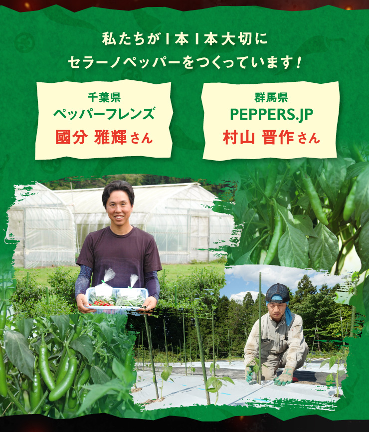 1{1{؂ɃZ[mybp[Ă܂I tybp[tY  P@Qn PEPPERS.JP R W삳