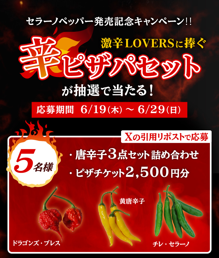 Z[mybp[LOLy[!!hLOVERSɕhsUpZbgIœI
		ԁF6/19i؁j`6/29ij
		Ẍp|Xgŉy5lɓz hq3_Zbg lߍ킹ihSYEuXAhqA`EZ[mj{ sU`Pbg2,500~