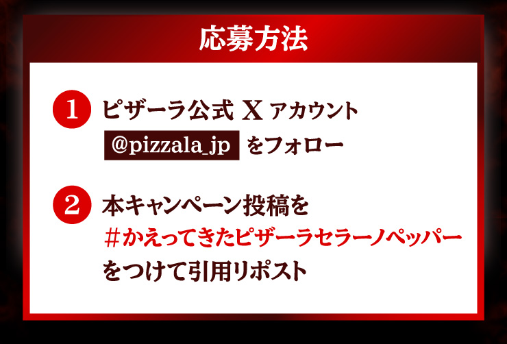 @F(1)sU[XAJEgipizzala_jpjtH[ (2){Ly[eĂsU[Z[mybp[Ĉp|Xg