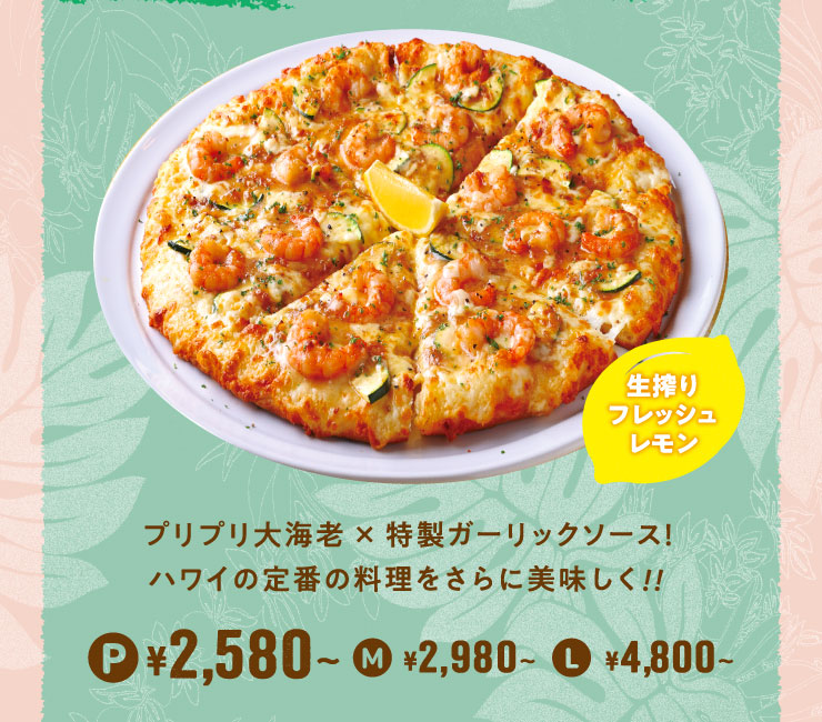 vvCV~K[bN\[XInC̒Ԃ̗ɔII PTCY2,580~` MTCY2,980~` LTCY4,800~`