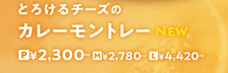 [NEW]Ƃ낯`[ỸJ[g[@PTCY 2,300~@MTCY 2,780~@LTCY 4,420~
