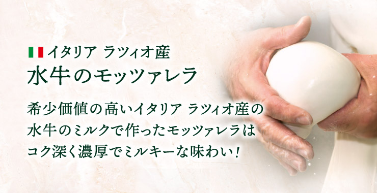 C^A cBIY ̃bc@F󏭉l̍C^A cBIY̐̃~Nōbc@̓RN[ZŃ~L[Ȗ킢!