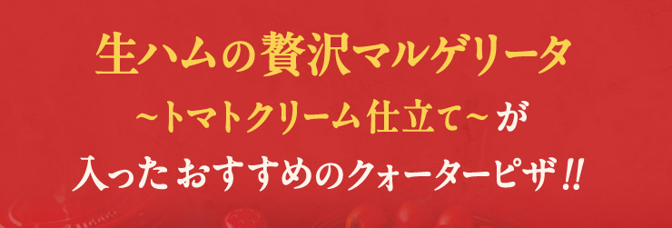 nґ}Q[^ g}gN[dĂ߂̃NH[^[sU!!