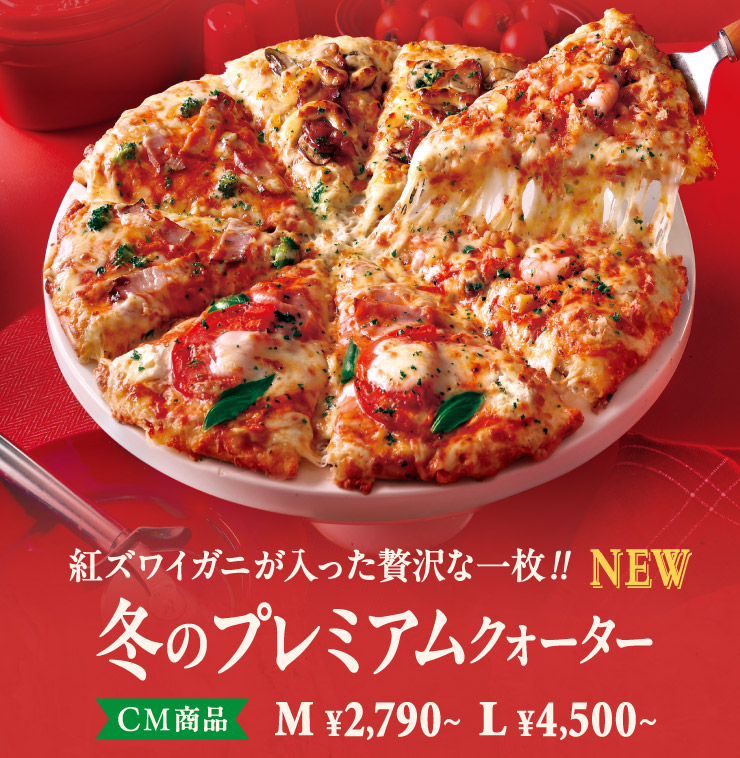 gYCKjґȈꖇ !![NEW]~̃v~ANH[^[ MTCY2,790~ LTCY4,500~