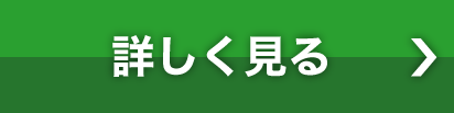 �ڂ�������