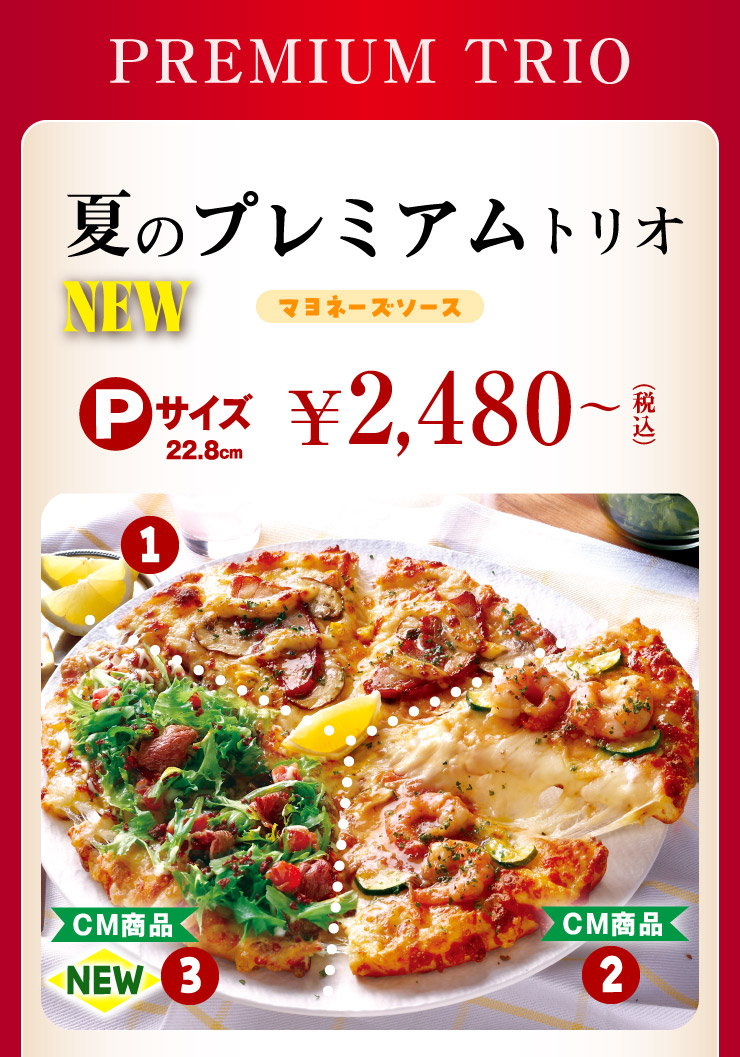 NEW �Ẵv���~�A���g���I [�}���l�[�Y�\�[�X]�@P�T�C�Y 2,480�~����